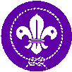 World Scout Badge