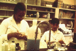 Two persons at work in a NIH research laboratory (photograph, 8-bit color, GIF87 format, 102 pixels high, 151 pixels wide, 12309 bytes)