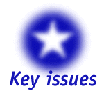 Key Issues