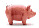 Das Schwein