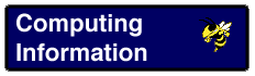 Computing Information