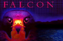 [Falcon Systems Inc.]